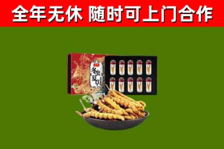 来凤县回收冬虫夏草价格